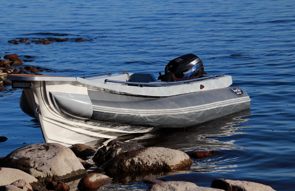 RIB FORTIS 460Z